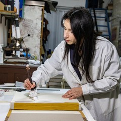 Maria Rosa Borraccino