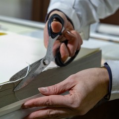 Maria Rosa Borraccino