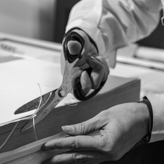 Maria Rosa Borraccino