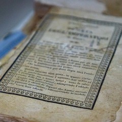 Maria Rosa Borraccino