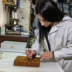 Maria Rosa Borraccino