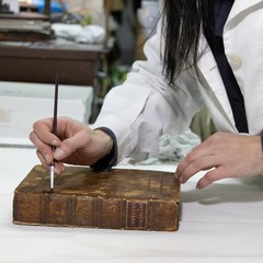 Maria Rosa Borraccino