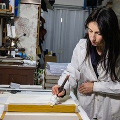 Maria Rosa Borraccino