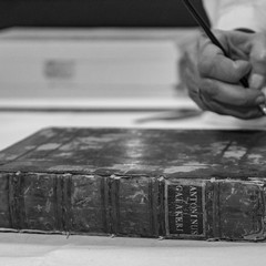 Maria Rosa Borraccino