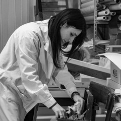 Maria Rosa Borraccino