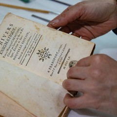 Maria Rosa Borraccino