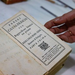 Maria Rosa Borraccino