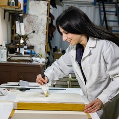 Maria Rosa Borraccino