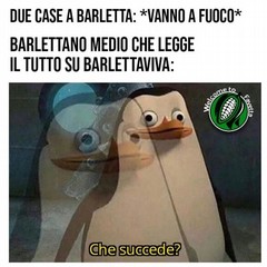 Barletta in “meme”: l’umorismo che racconta la città