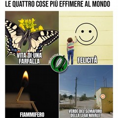 Barletta in “meme”: l’umorismo che racconta la città