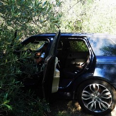 Nascoste nelle campagne di Barletta la Polizia Locale ritrova due auto rubate