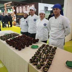 Open Day IISS Moro Cosmai