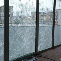 Orto Botanico, vandali in azione