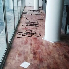 Orto Botanico, vandali in azione