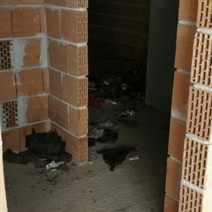 Palazzo in via Porta Reale