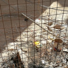 Palazzo in via Porta Reale