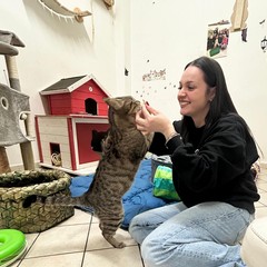 Pappa e Cuccia Barletta