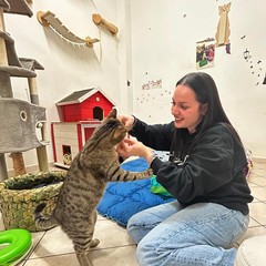 Pappa e Cuccia Barletta