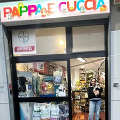 Pappa e Cuccia Barletta