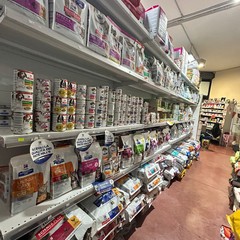 Pappa e Cuccia Barletta