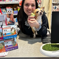 Pappa e Cuccia Barletta