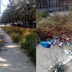 Parco in via Brunelleschi, degrado e nessuna manutenzione