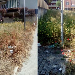 Parco in via Brunelleschi, degrado e nessuna manutenzione