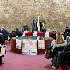 "Parole Costituenti": presentata l’opera a Barletta che parla della Costituzione Italiana