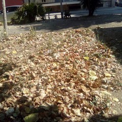 Via Brunelleschi e via Vanvitelli, abbandono e amarezza