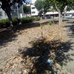 Via Brunelleschi e via Vanvitelli, abbandono e amarezza