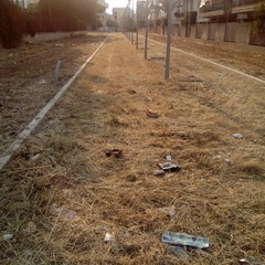 Via Brunelleschi e via Vanvitelli, abbandono e amarezza