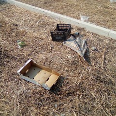 Via Brunelleschi e via Vanvitelli, abbandono e amarezza