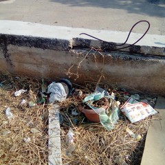 Via Brunelleschi e via Vanvitelli, abbandono e amarezza