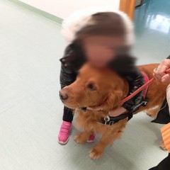 Pet therapy in corsia per i piccoli pazienti della pediatria di Barletta