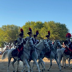 Tra storia e rievocazione: grande successo a Barletta per il Carosello storico dell’Arma dei Carabinieri