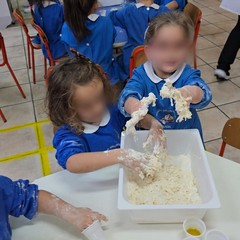 Dall'impasto all'assaggio: i bambini a scuola di pizza