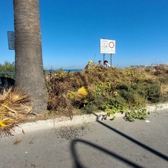 "Puliamo il Mondo", a Barletta volontari in azione sulla costa: ripulita la Prima Area Fratino