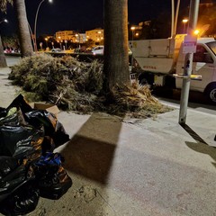 "Puliamo il Mondo", a Barletta volontari in azione sulla costa: ripulita la Prima Area Fratino
