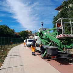 Pulizia straordinaria nell'area dell'ex distilleria di Barletta