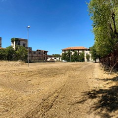 Pulizia straordinaria nell'area dell'ex distilleria di Barletta