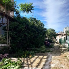 Pulizia straordinaria nell'area dell'ex distilleria di Barletta