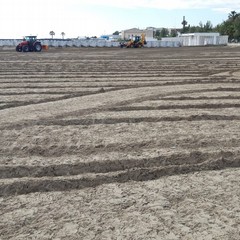 Pulizia su spiagge e litorali a Barletta