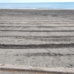 Pulizia su spiagge e litorali a Barletta