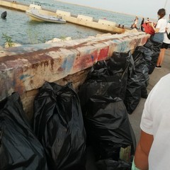 Raccolta rifiuti organizzata dai ragazzi di Barletta