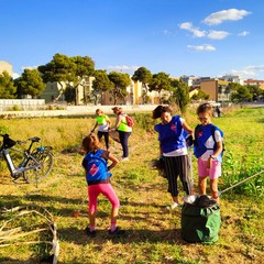 Barletta riscopre la sua "spiaggetta" segreta grazie a Retake