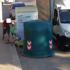 Sacchetto selvaggio, le fototrappole immortalano i responsabili