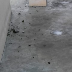 Bivacco al Parco dell'Umanità: finisce la festa, ma i rifiuti restano