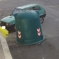 Sacchetto selvaggio, le fototrappole immortalano i responsabili