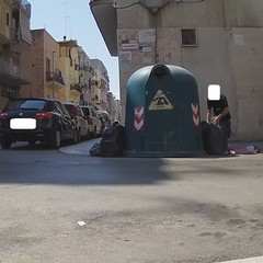 Sacchetto selvaggio, le fototrappole immortalano i responsabili