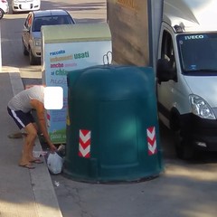 Sacchetto selvaggio, le fototrappole immortalano i responsabili